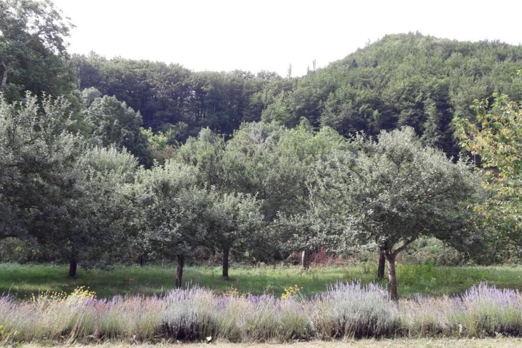 Gite "Entre Champsaur Et Valgodemard" Saint-Jacques-en-Valgodemard Εξωτερικό φωτογραφία