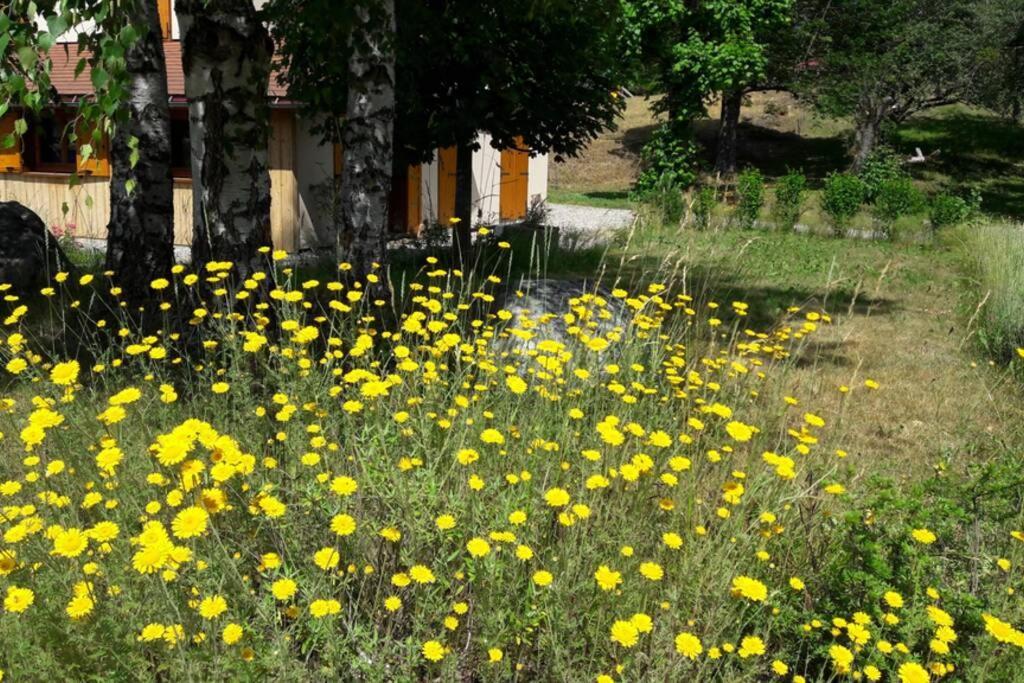Gite "Entre Champsaur Et Valgodemard" Saint-Jacques-en-Valgodemard Εξωτερικό φωτογραφία